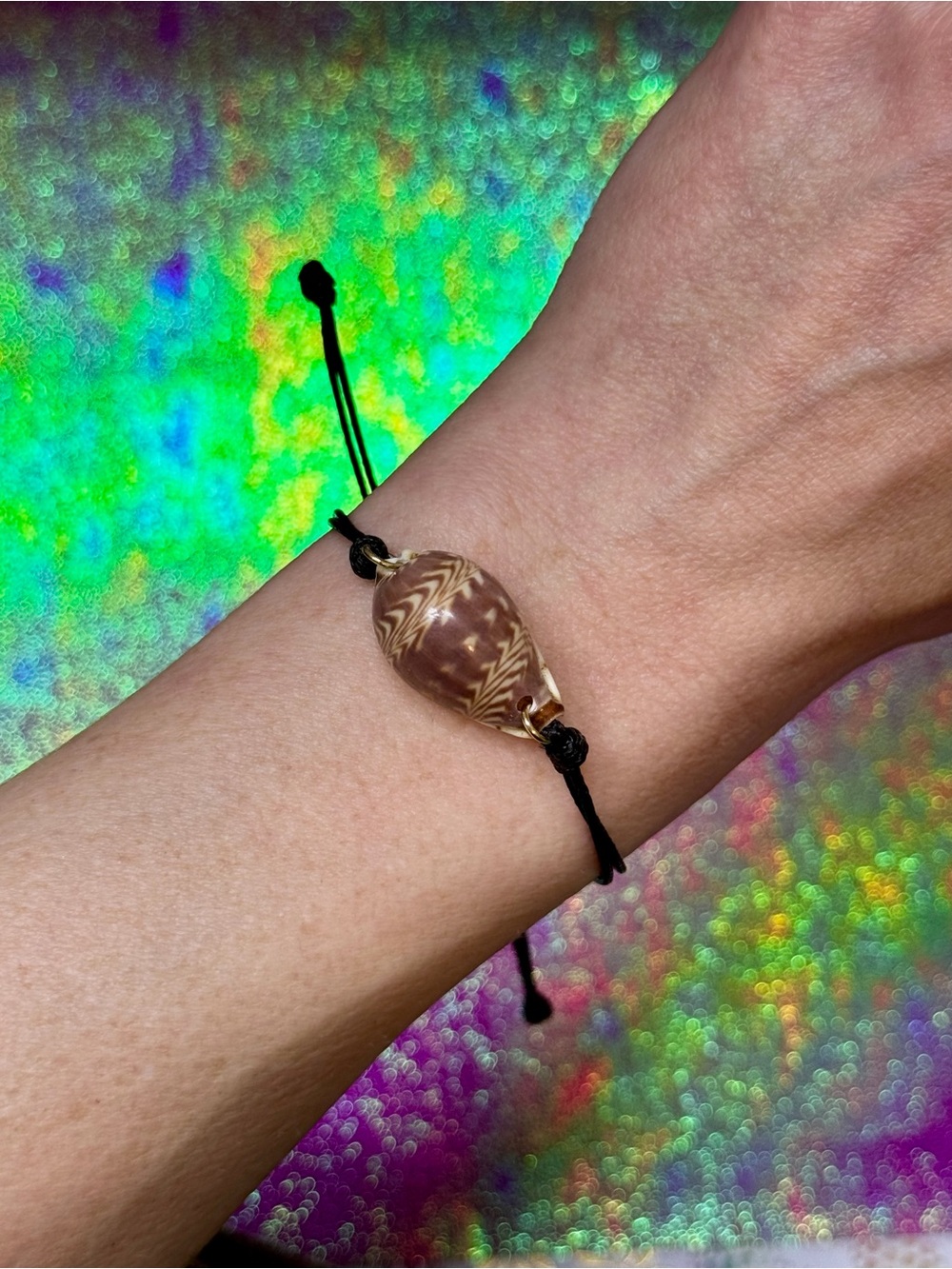 Handmade Rare Daybreak Cowry Bracelet with Black Cord